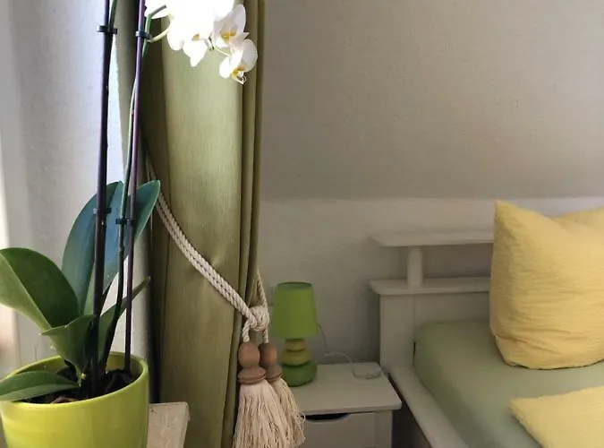 Sommerhaus Auf Ruegen Boldevitz